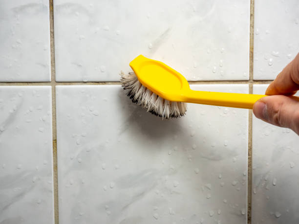 Trusted Hanover, OH Mold Removal Experts