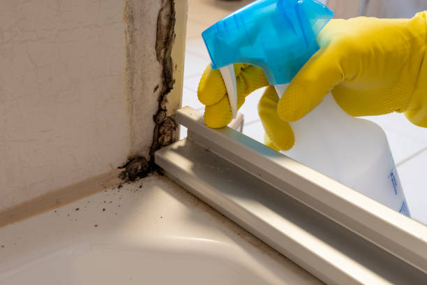 Best Crawl Space Mold Removal  in Hanover, OH