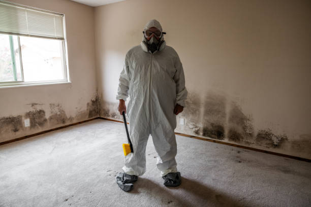 Best Home Mold Removal  in Hanover, OH